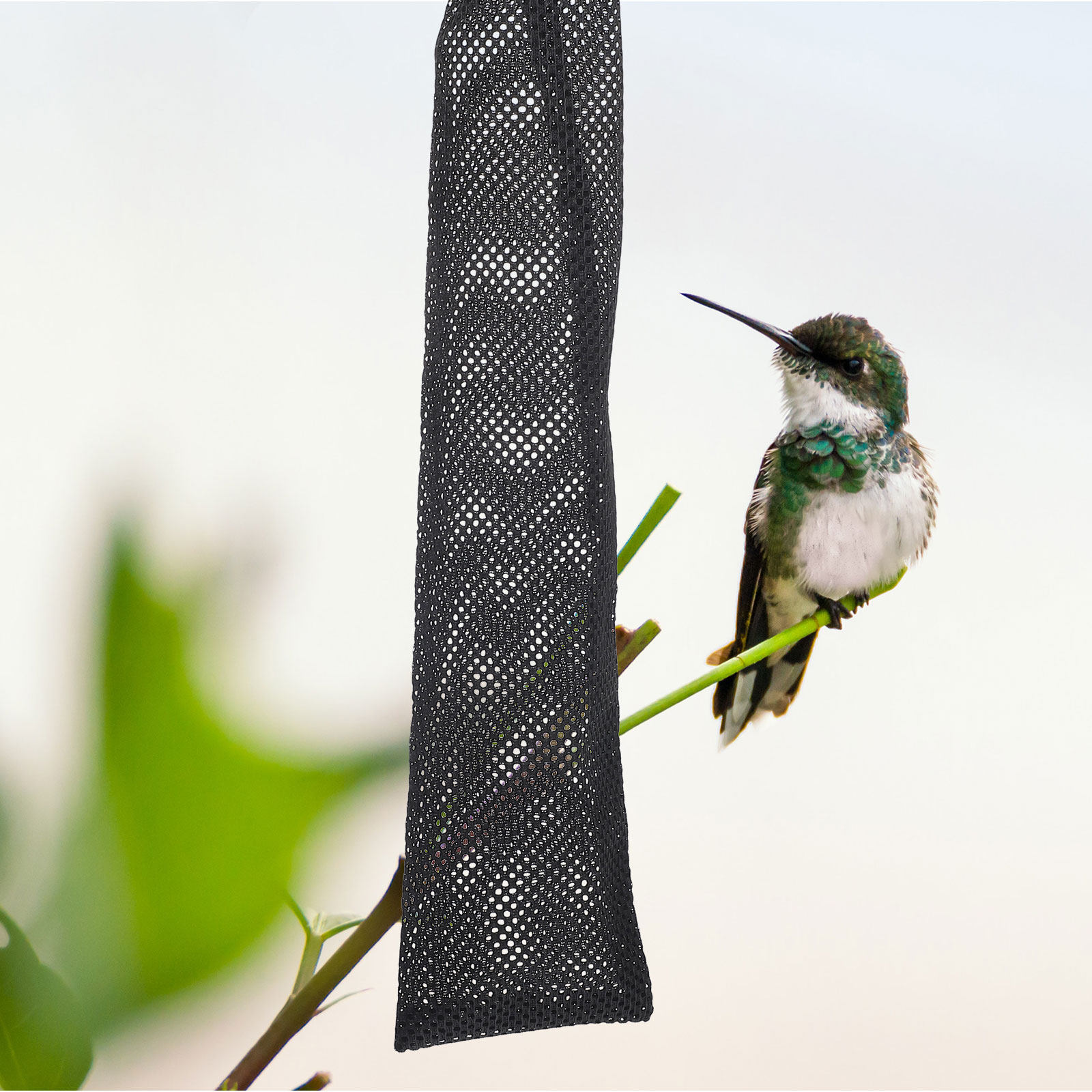 Mesh Feeder Bag - 3 Pezzi Sacchetti per l'Alimentazione degli