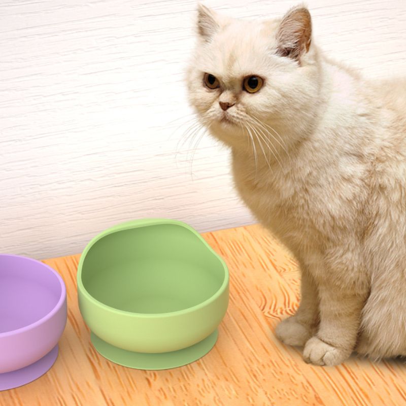 Silicone Suction Bowl - Ciotole per animali domestici in silicone