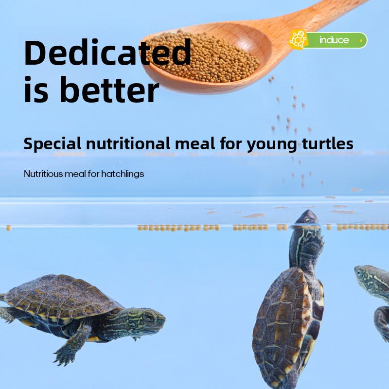Fulepets Alimenti per tartarug - Baby Food With Protein recensione e prezzo