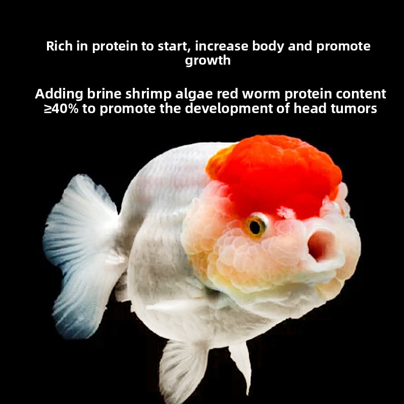 Fish Baby Affondamento Cibo pe - Baby Food With Protein recensione e prezzo
