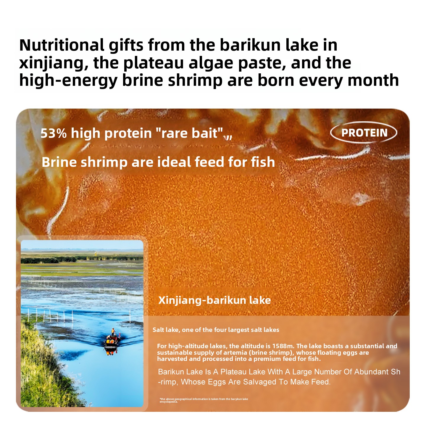 SANKii Artisemia di gamberetti - Baby Food With Protein recensione e prezzo