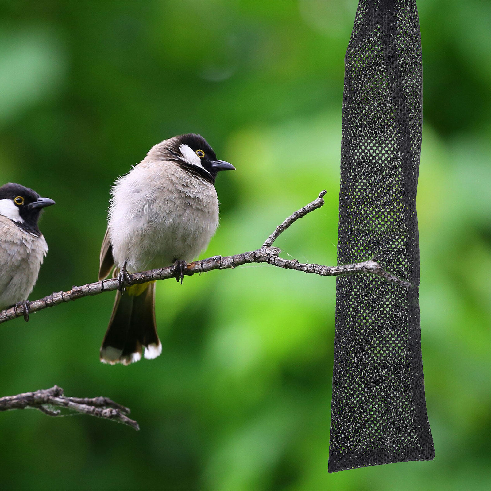 3 Pezzi Sacchetti per l'Alimen - Mesh Feeder Bag recensione e prezzo