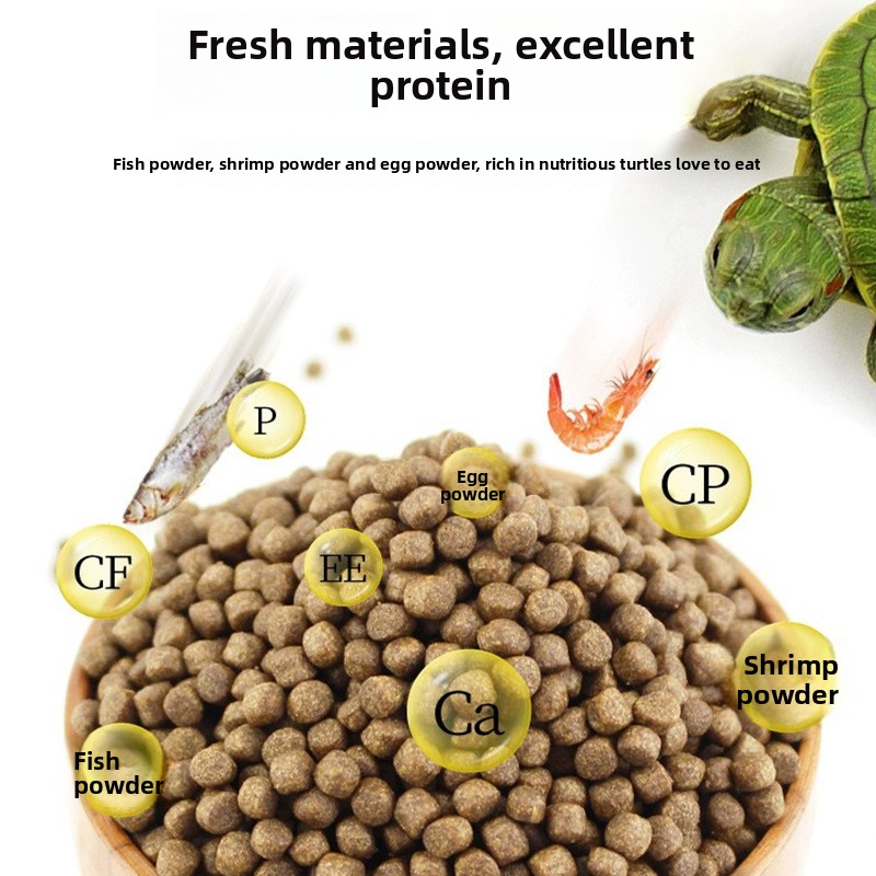 GEN CLIMB Tartaruga con cursor - Baby Food With Protein recensione e prezzo